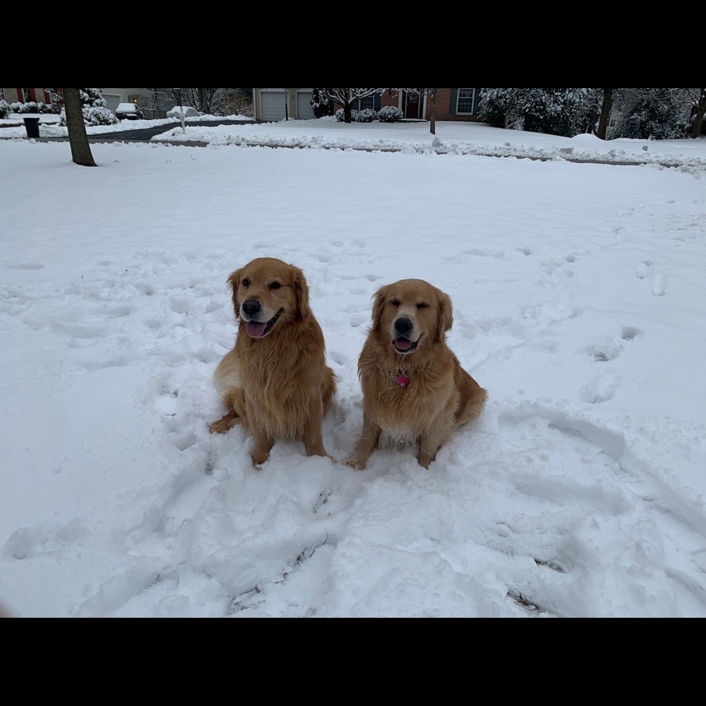 Meet your Posher, Jeff